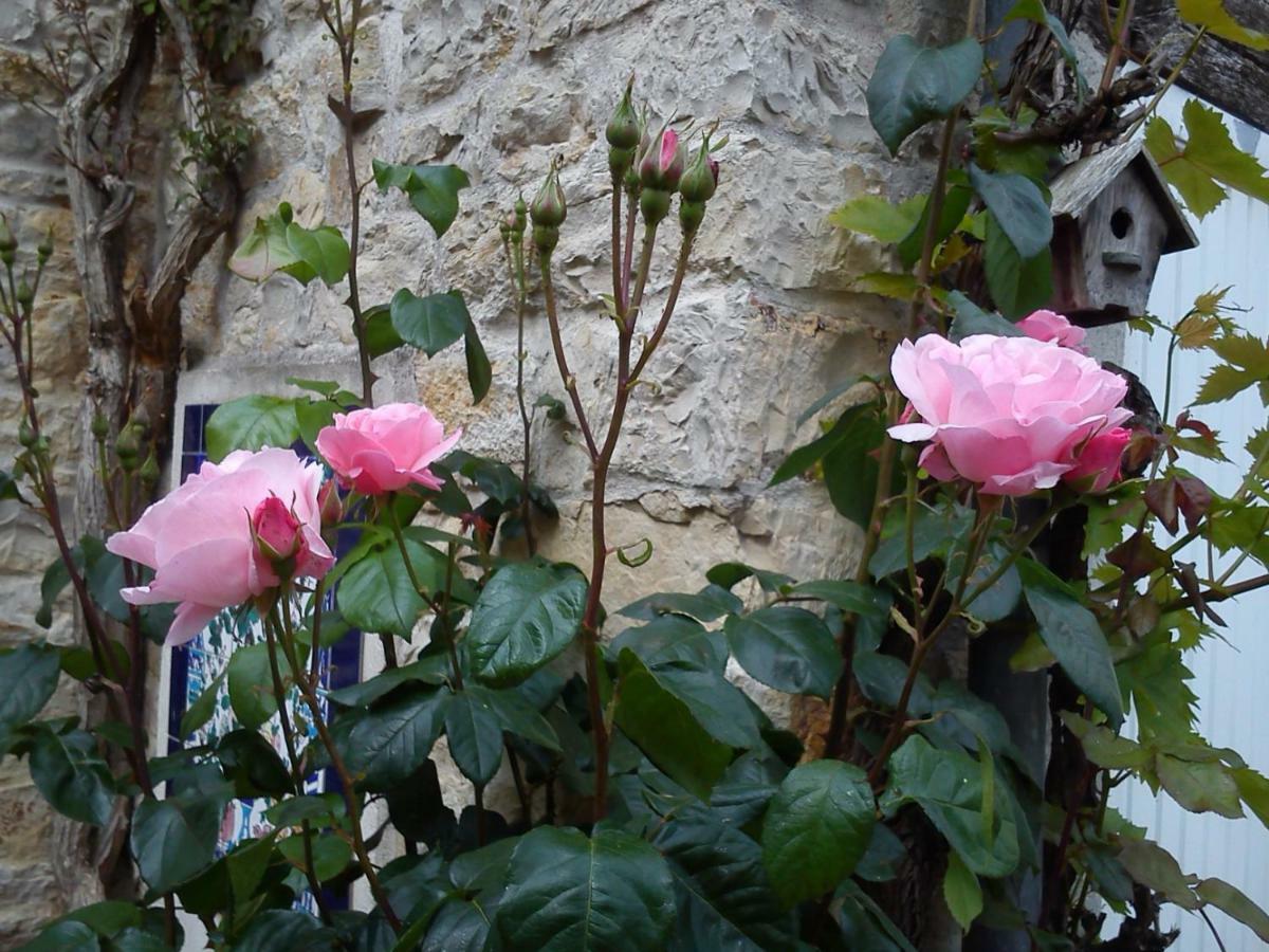 Le Clos Des Treilles Nuaille-d'Aunis Εξωτερικό φωτογραφία